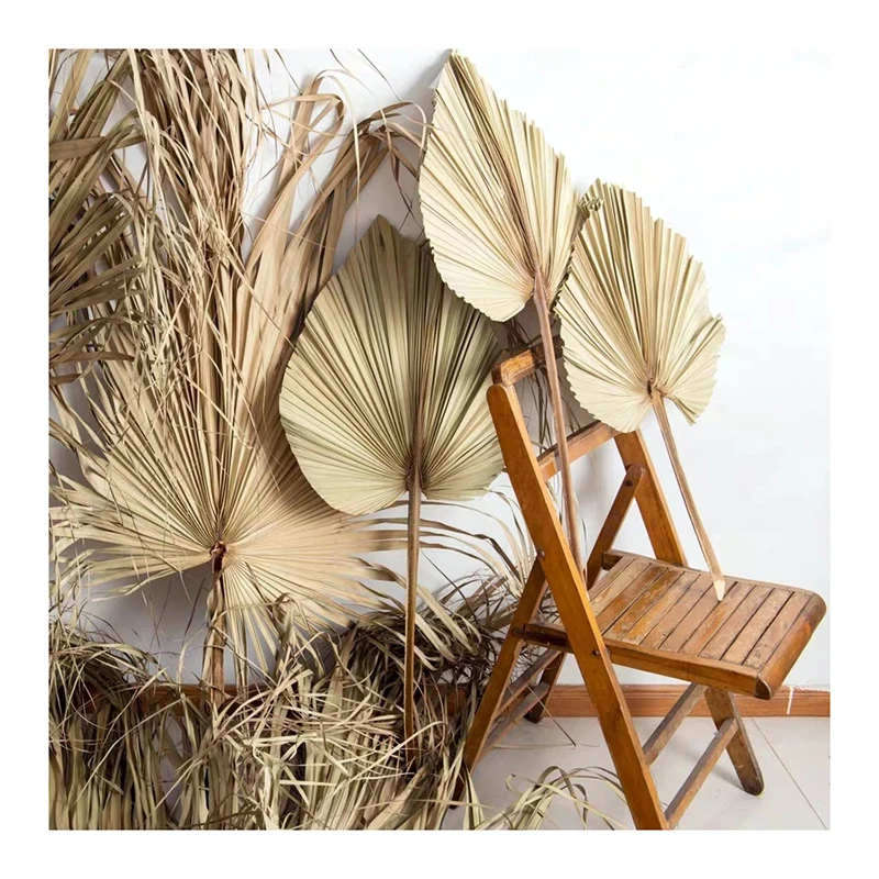 new design wholesale  palm trees leaves decorative dried palm leaves
