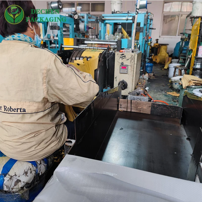 TJ Mango Protection Bags From Malaysia - Your Ultimate Solution For Safe And Fresh Mango Storage