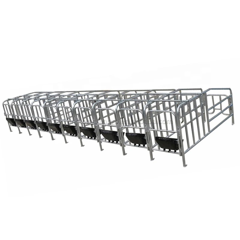 New Product 2021 New product China Standard Steel Pipe Sow restricted position farrowing crate pig breeding equipment