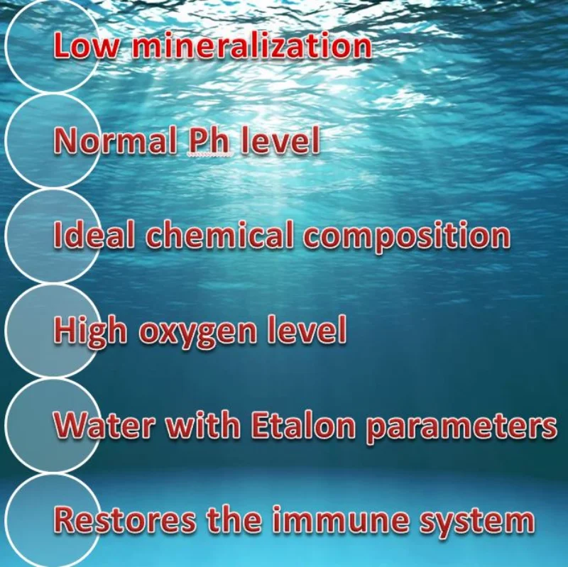 Natural mineral water deep still water Baikalika pure water