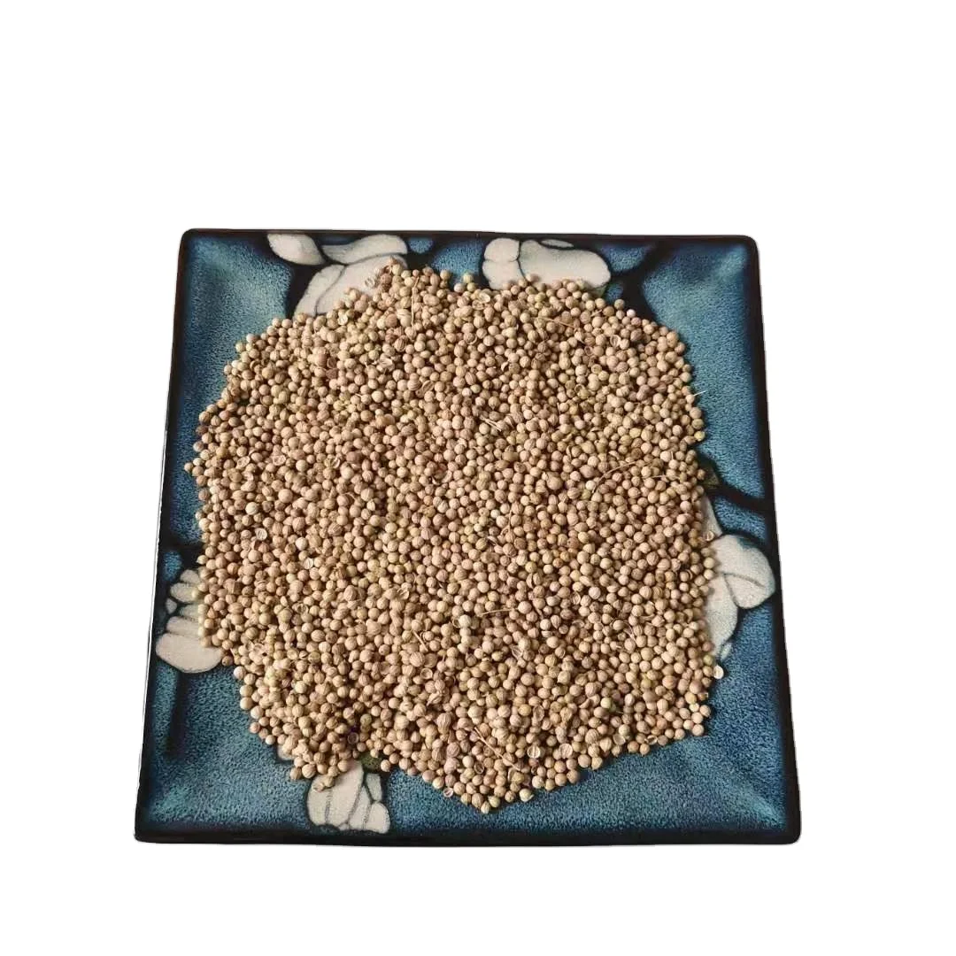 
 Горячая продажа семена натурального кориандера  