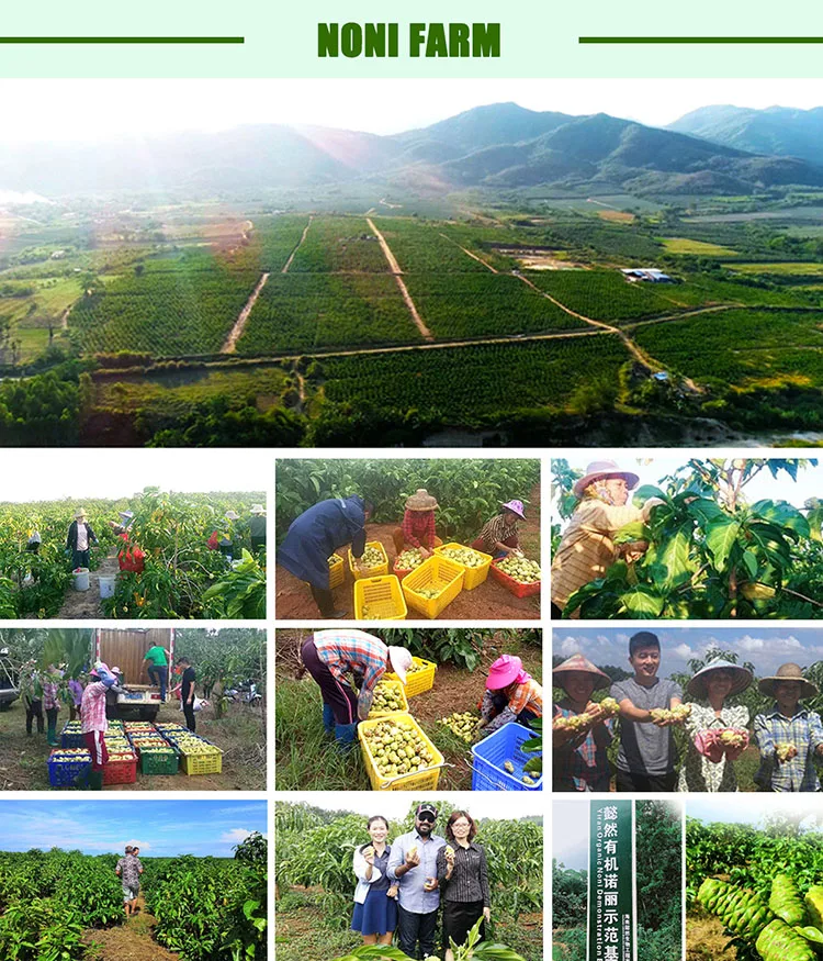 noni farm