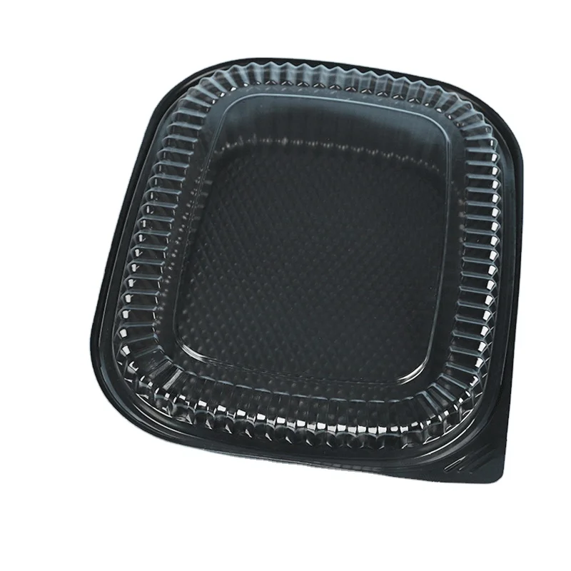 Blister Food Containers Portable Lightweight Transparent Plastic Tray