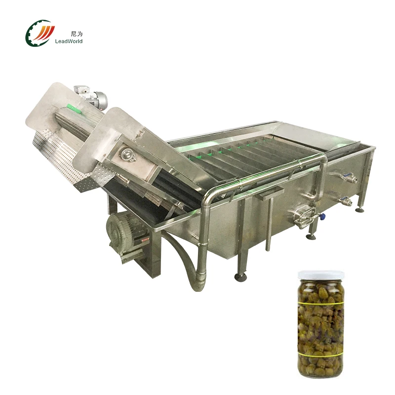newest products vegetable washing machine