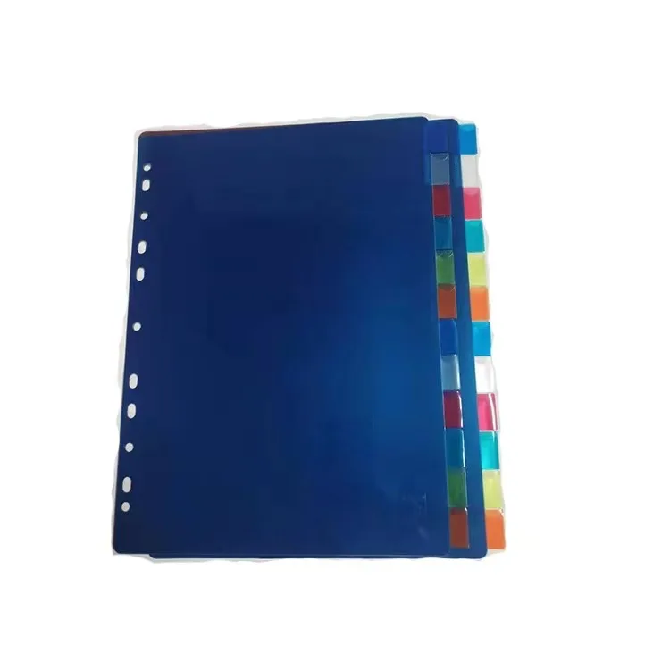 High Quality Color 6-Tab Paper Dividers Insertable Multicolor Big Tabs Index Page
