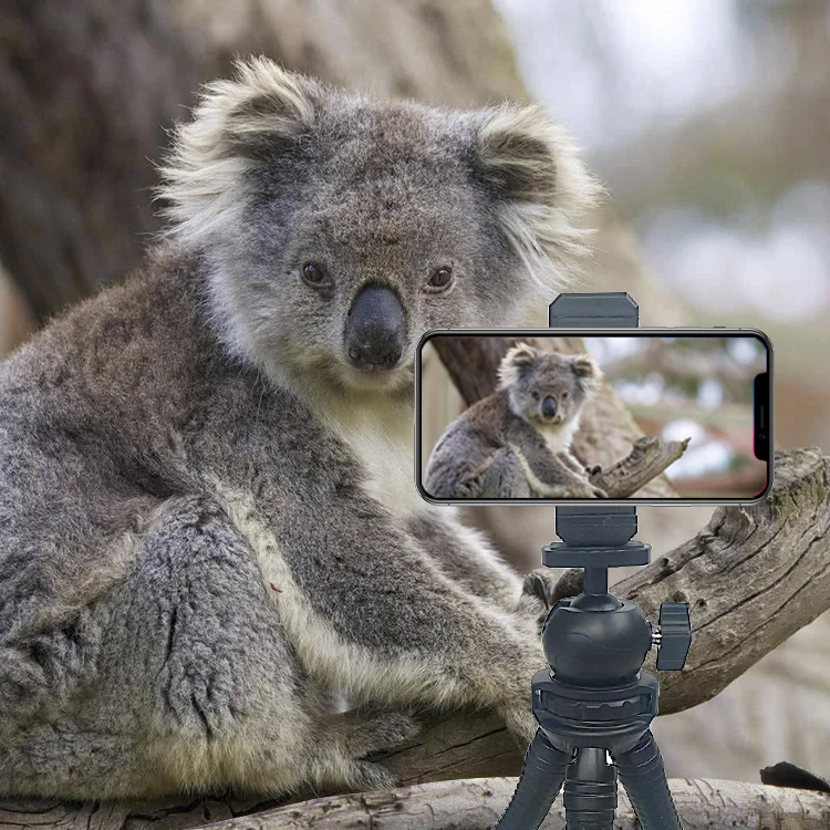 Оптовая продажа с фабрики, Прочный Гибкий штатив-осьминог, держатель для мобильного телефона, подставка для фотографии