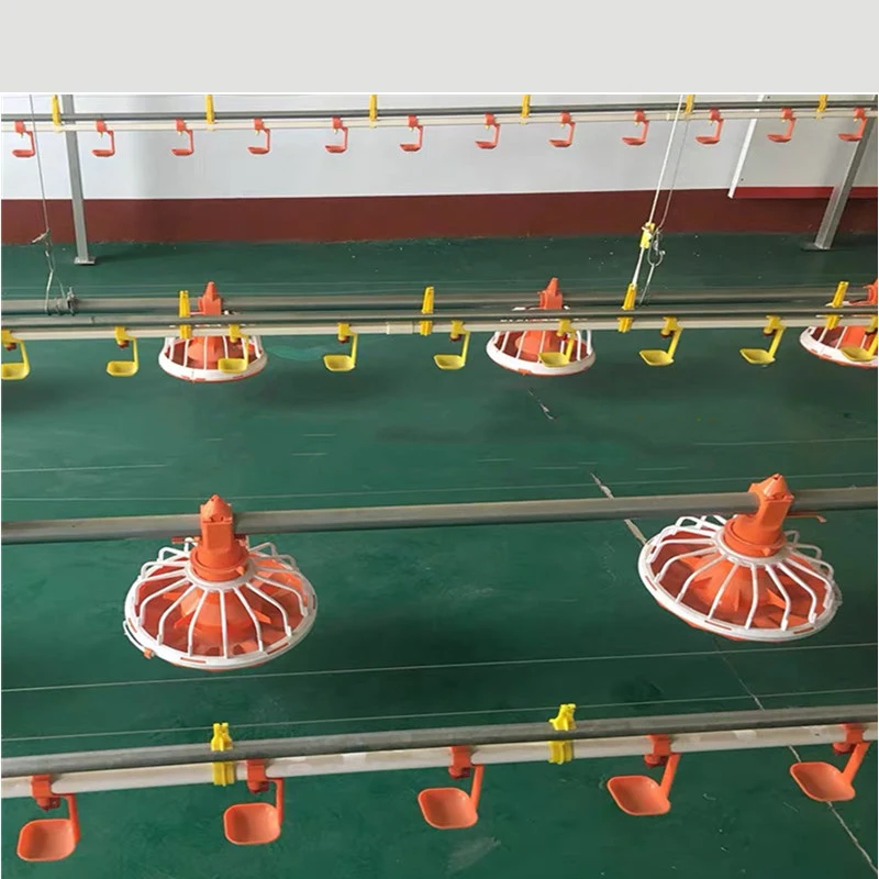 2024 Automatic Chicken Feeder Trays Poultry Farming Animal Feeders with Convenient Automatic Feeding System