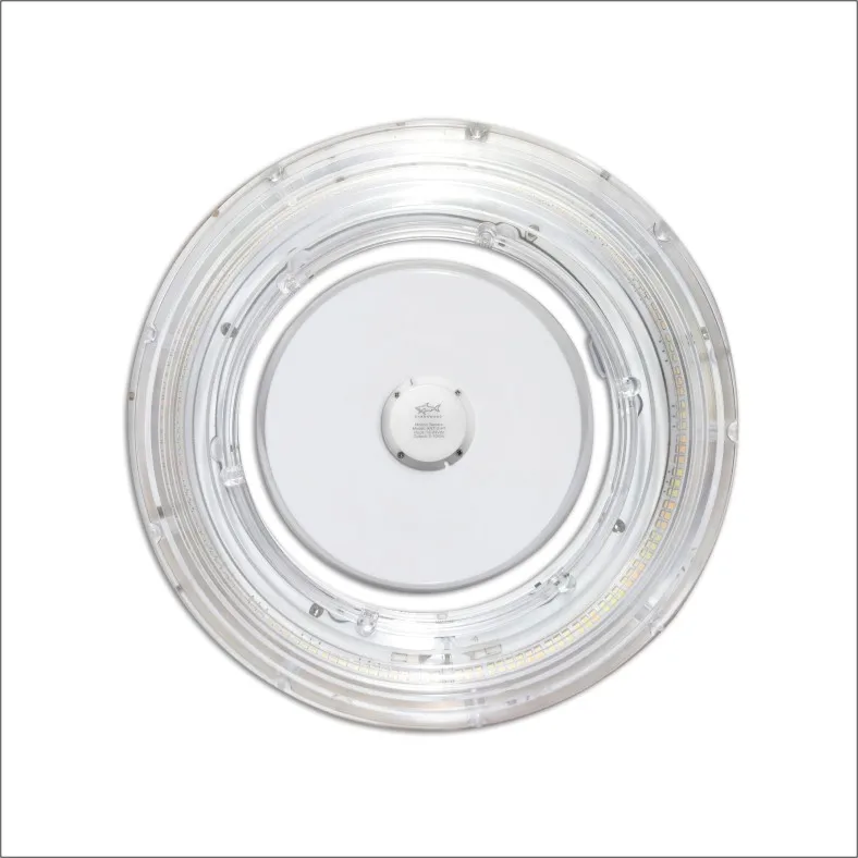 Canopy Led Light Driver 60W Led Canopy Light