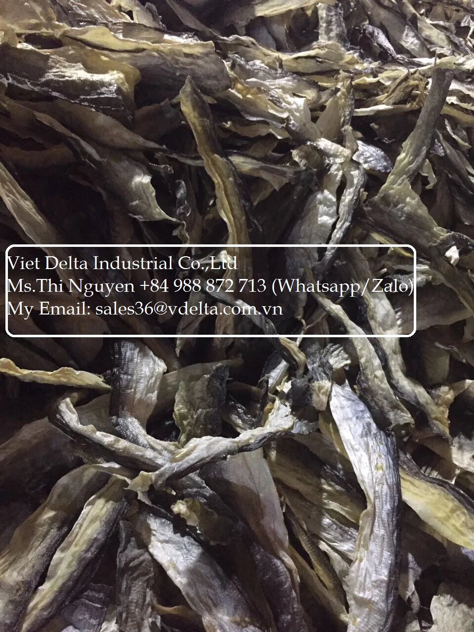 Manufacturer fish skin/ dried - snack - fried ( crispy ) of pangasius fish skin - salmon fish skin very cheap from Vietnam/ Lima