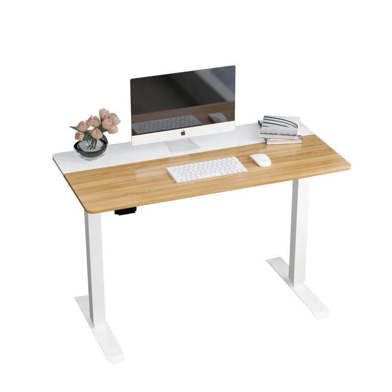 Modern Design Single Motor Height Adjustable Electric Standing Desk Sit to Stand Desk