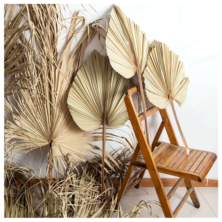 Every Love high quality natural color dried flower big palm  Leaves Fan leaf Bleached for Wedding Flower Arranging Decoration