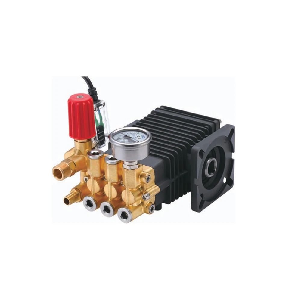 Commercial High Pressure Triplex Plunger Pump 60 bar 8.5 L/min Small High Pressure Pump For Car Washing