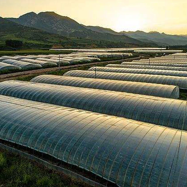 Poly tunnel green house net galvanized steel hoop greenhouse