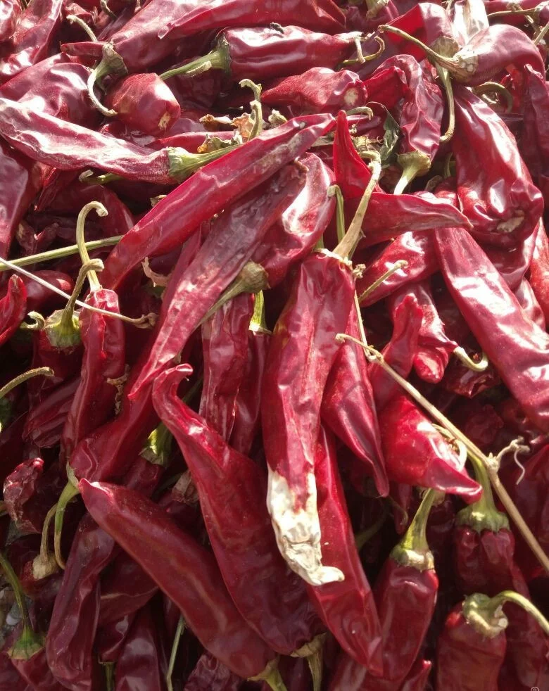 High Quality Food Grade Red guajillo  Chilli
