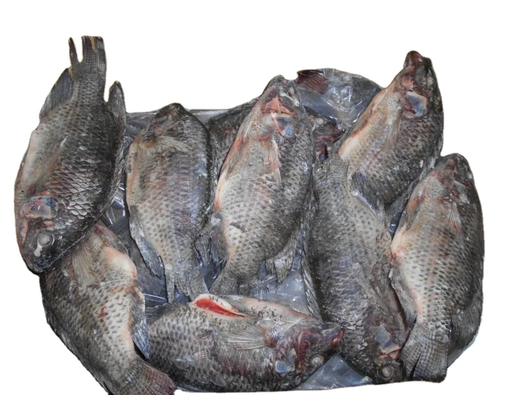 whole gutted and scaled tilapia cleaning tilapia fish for sale