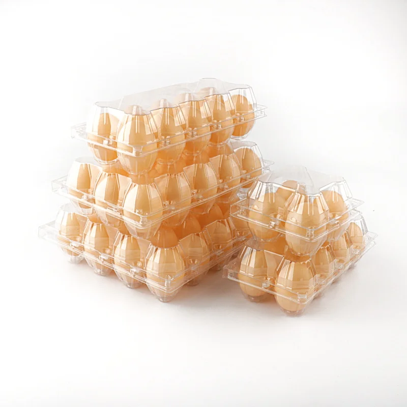 plastic egg trays for 30 eggs clear transparent 6 cells holes plastic quail egg packaging tray box crate