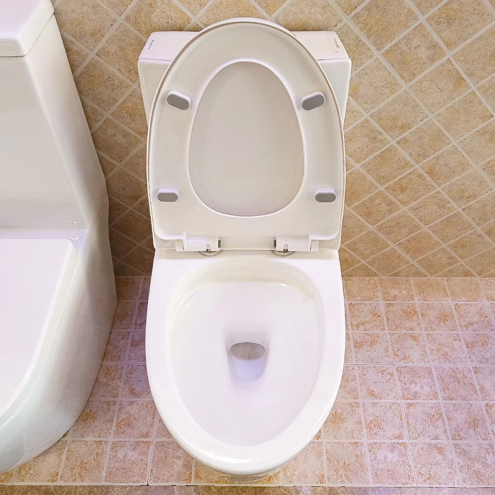 China Supplier Wholesale High Quality Modern Design Washdown Siphonic One-Piece Ceramic Toilet