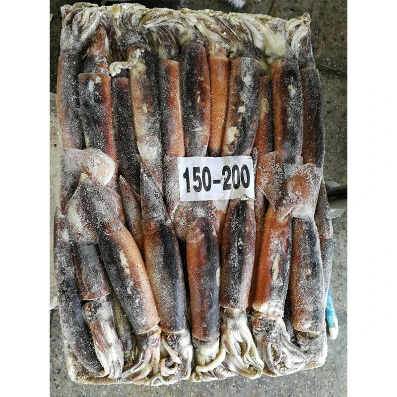 Frozen Argentina Squid SANFENG SEAFOOD Whole Round Illex Squid BQF Squid For Export