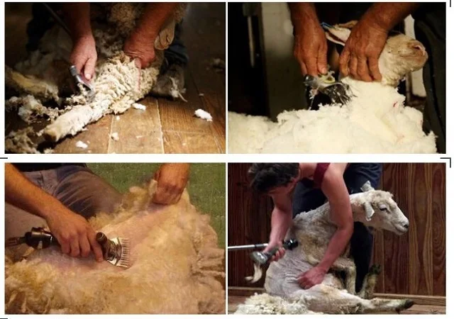 Good Quality Sheep Clipper Blade Stainless Steel Blade For Livestock Farm For Horse Trimmer Goat Wool Hair Clipper Blade