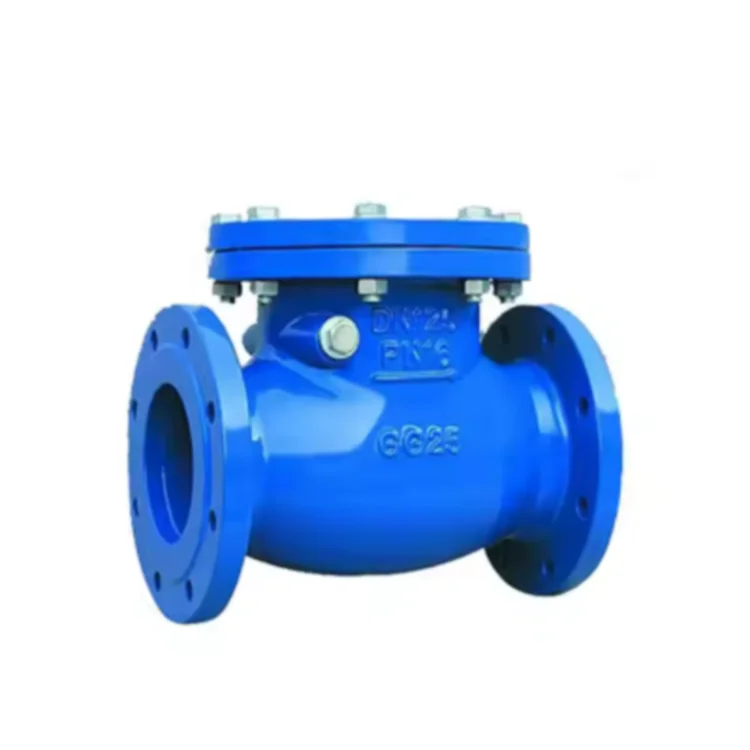 Multi Single Disc Door flanged swing type check valve