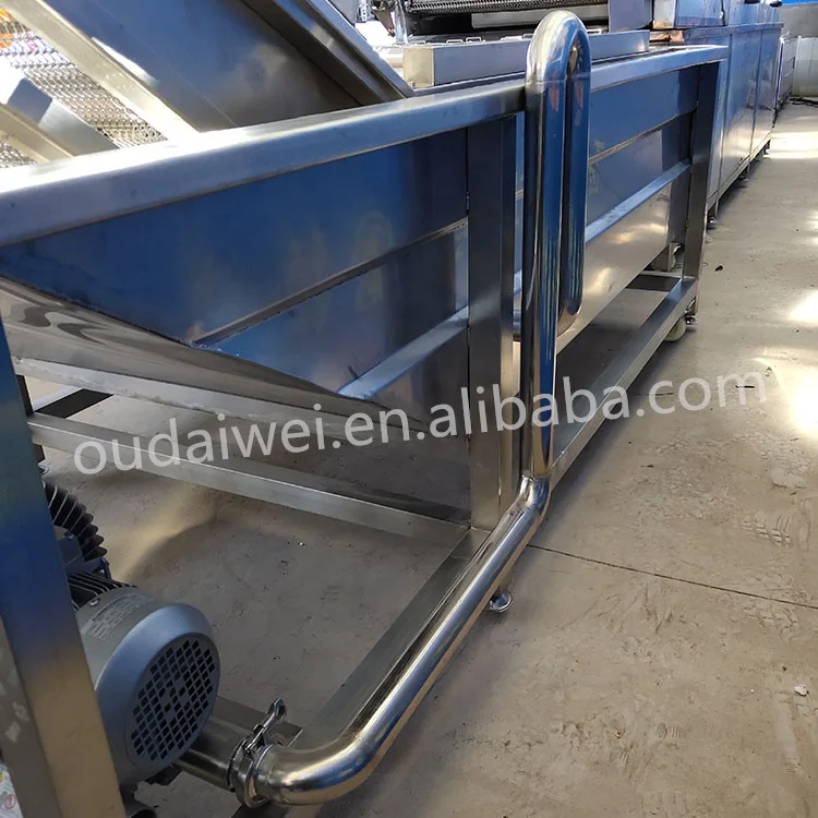 Automatic Industrial Bubble Coriander Squid Fruit Coconut Roller Large Scale Clean Wash Machine For Brush