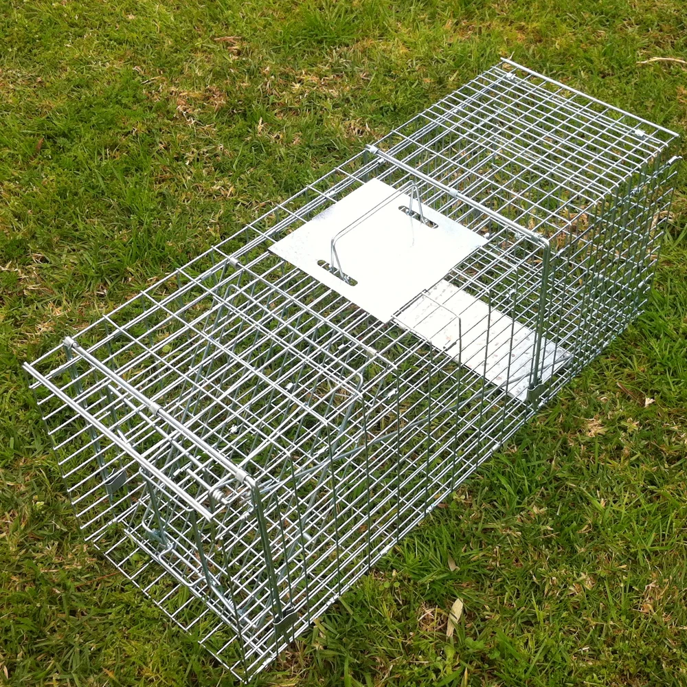 Humane Large Live Wild Animal Cage Trap for Pest Control Dog Coyote Fox Raccoon Mink Squirrel Possum Rabbit Feral Cat Trap Cage