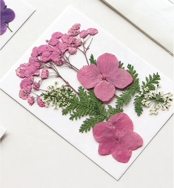 8pcs/pack DIY Craft Face Decoration of Wedding Candle Resin Epoxy Material Pressed Flower Combination