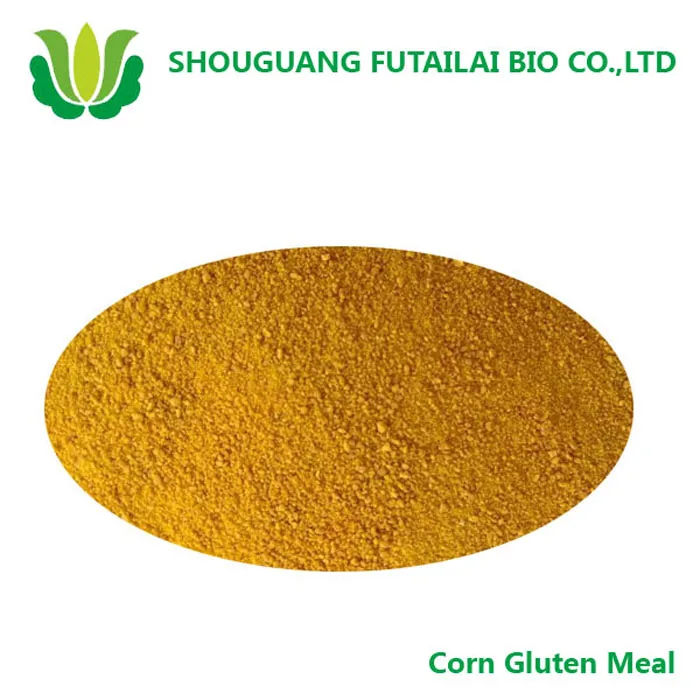 
Futailai Bio brand first-rate corn gluten meal 60%/WhatsApp +86 15269176215 