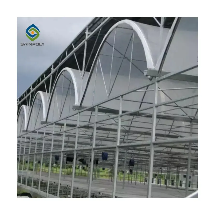 Sainpoly agriculture intelligent greenhouse multi-span PC sheet glass tomato greenhouse with hydroponic growing syste