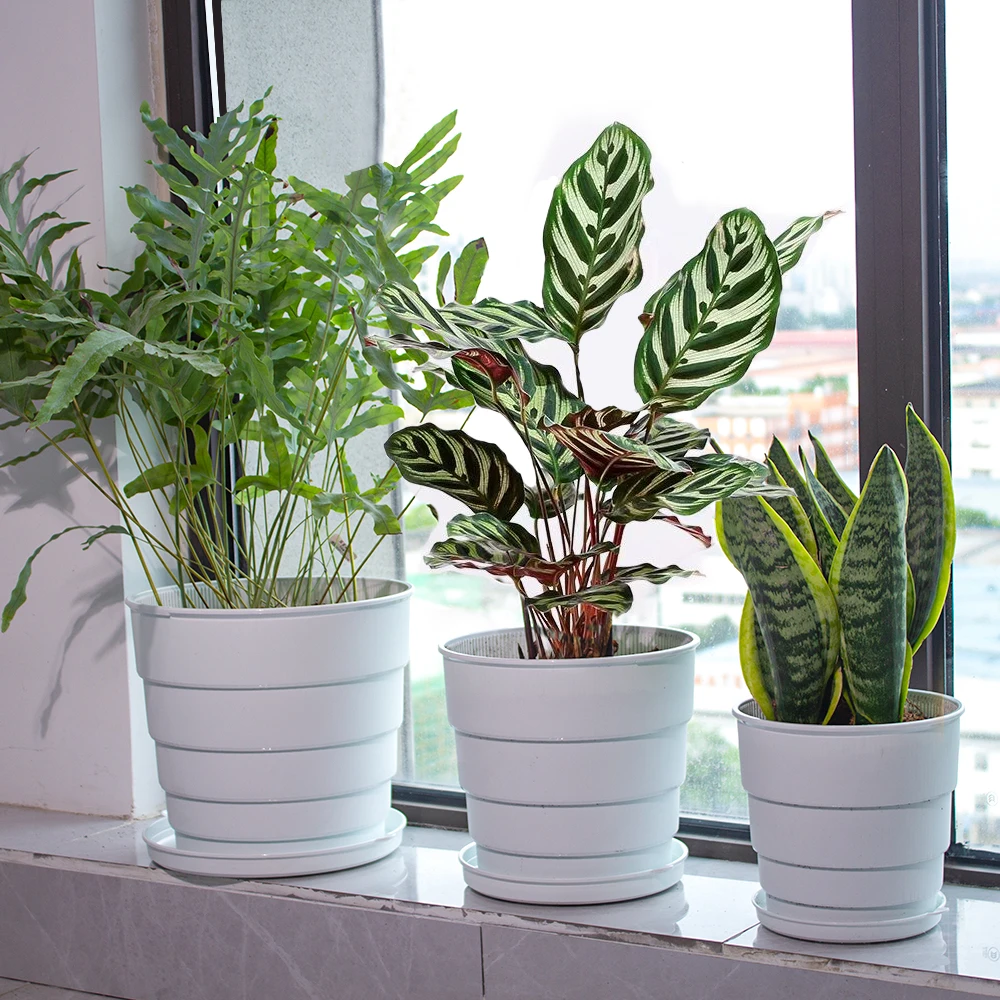 ПП пластиковые круглые рубашки для украшения дома с высокой степенью возврата покупки онлайн