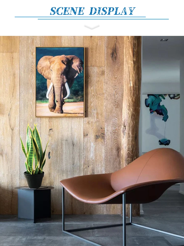 Небольшие пластиковые агавы бонсай растения с горшком Sansevieria Cylindrica