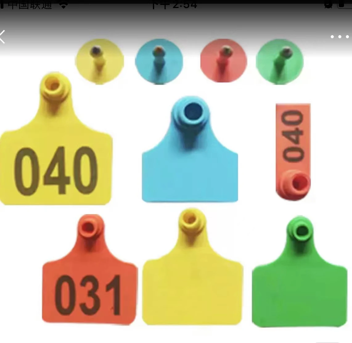 Wholesale   animal  livestock cow pig sheep ear tag  identification number