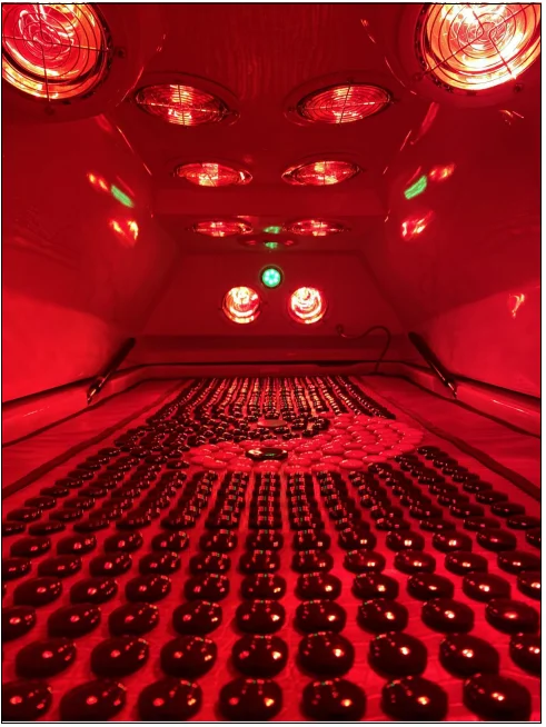 Effective treatment of gynecological diseases machine far infrared rays magnet therapy nulti-function equipment for beauty salon