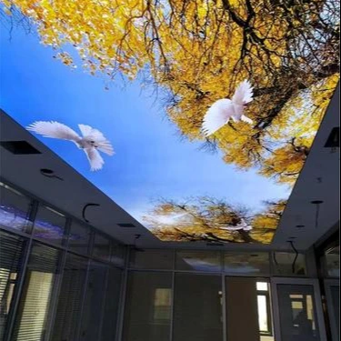 ZHIHAI chinese style room decoration roof waterproofing sheet print pvc 3d stretch ceiling