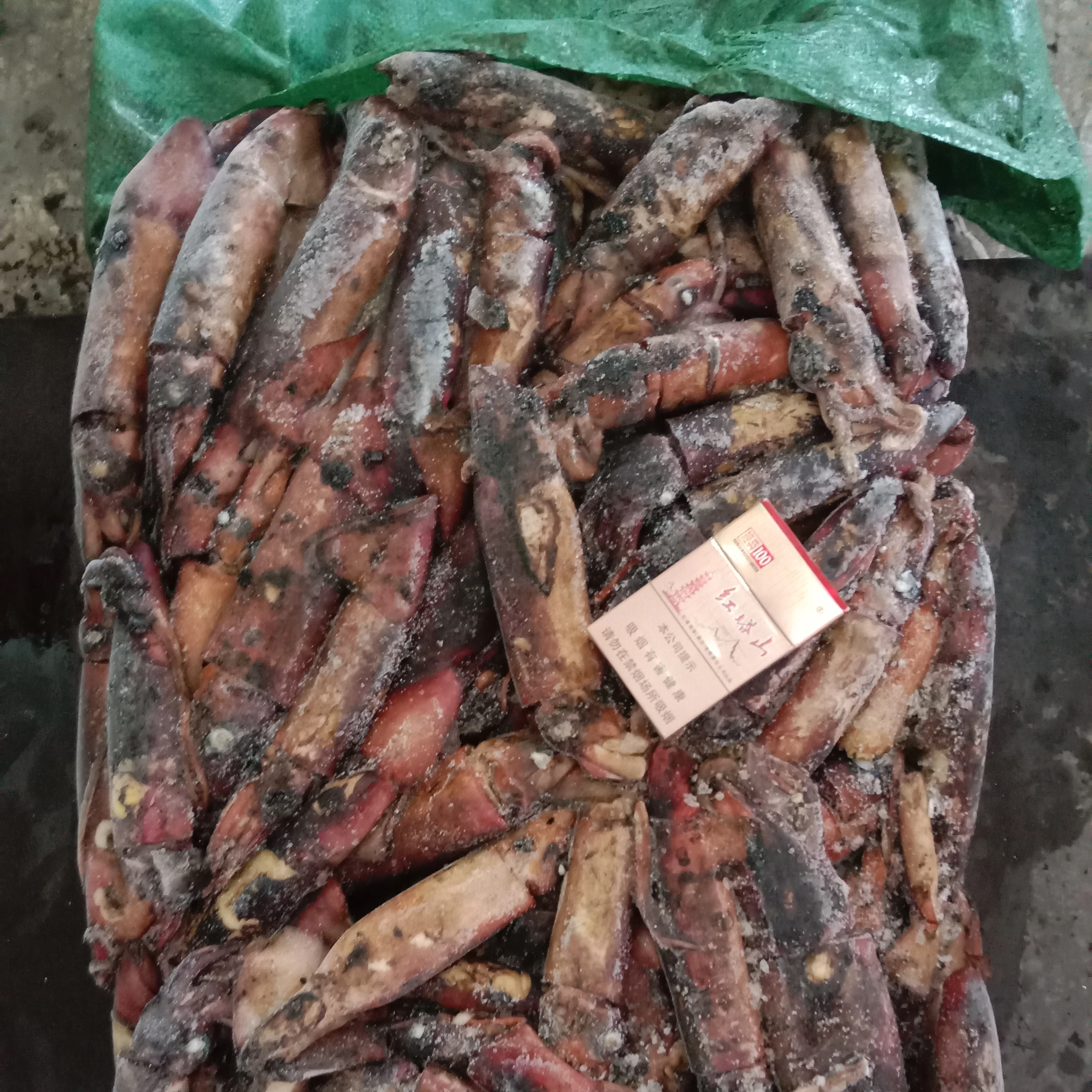 Factory Direct Supply Frozen Black Squid  Whole Round