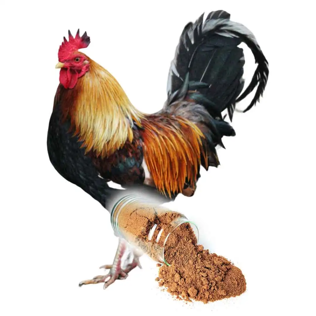 Plastic Tilapia Trout Feed Defatted Meals Dried Larvae Immune And Dietary Supplement