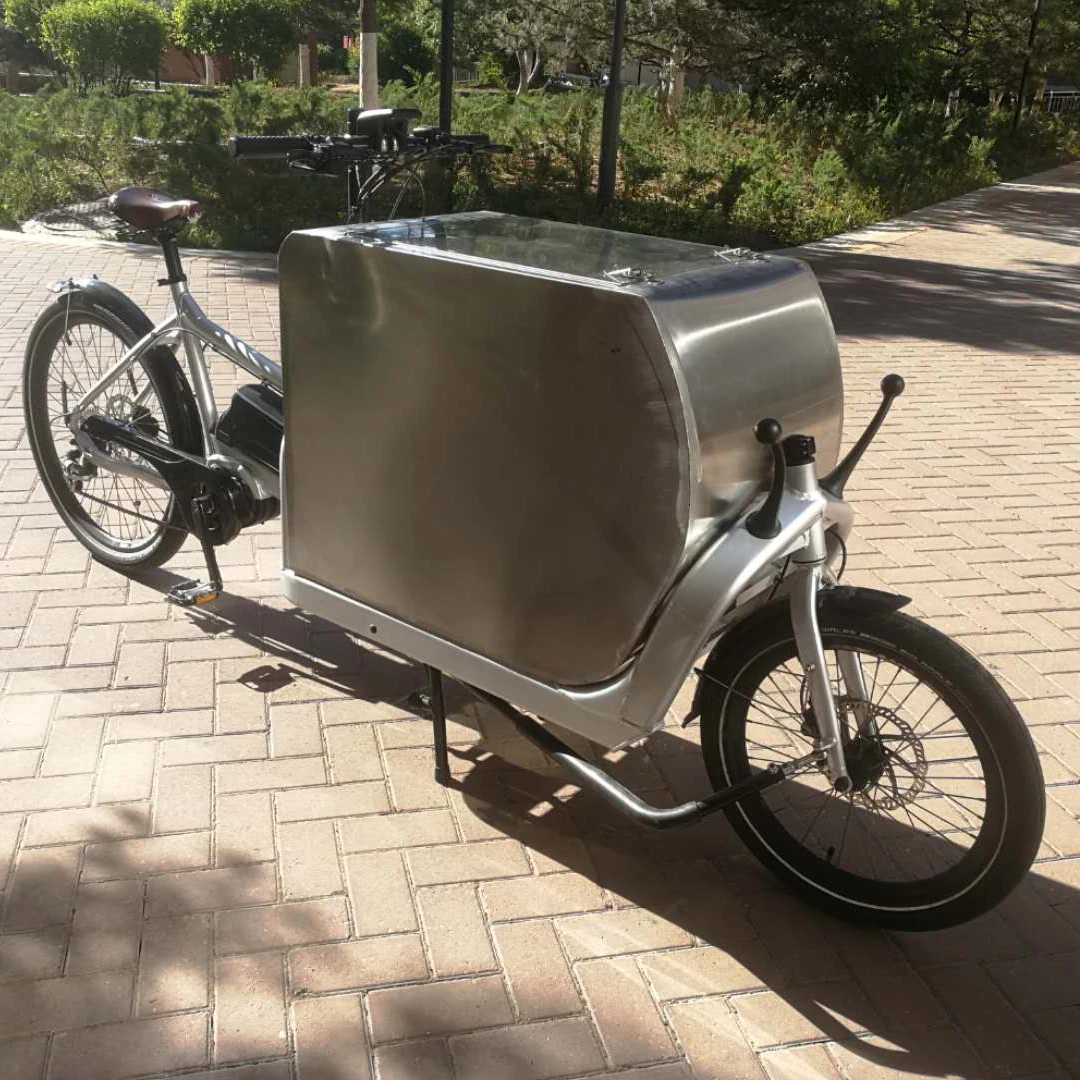 china warehouse electric 2 wheel alloy frame cargo bike middle motor family europe warehouse electric tricycle transport