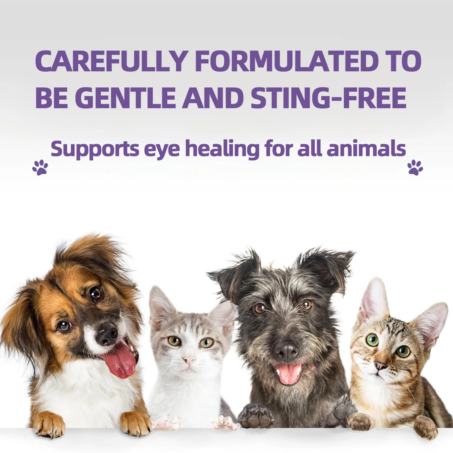 Pet Care Fast Relief from Irritations & Allergies Symptoms Eye Wash & Tear Stain Remover for All Animals -DIB666025