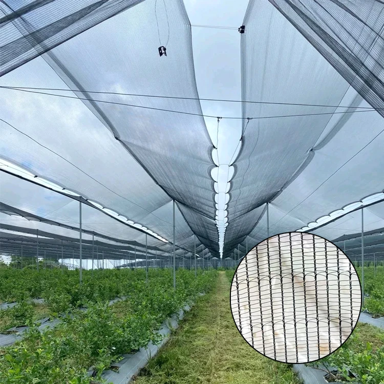 Yemen market Anti Hail Net High Quality Plant Protection Net Anti Hail Netting