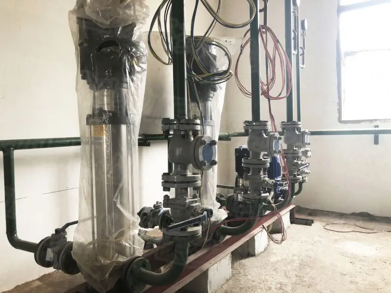 Undersun Supply Pure Longan Seed Extract Powder