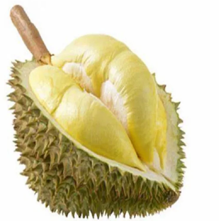 FYFD006F Cheap price freeze dried durian with high quality