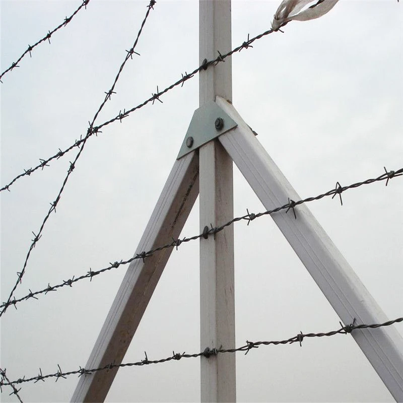 1.6mm 500m 25kgs/roll Arame farpado Security Hot Dipped Galvanized Barbed Wire for Brazil