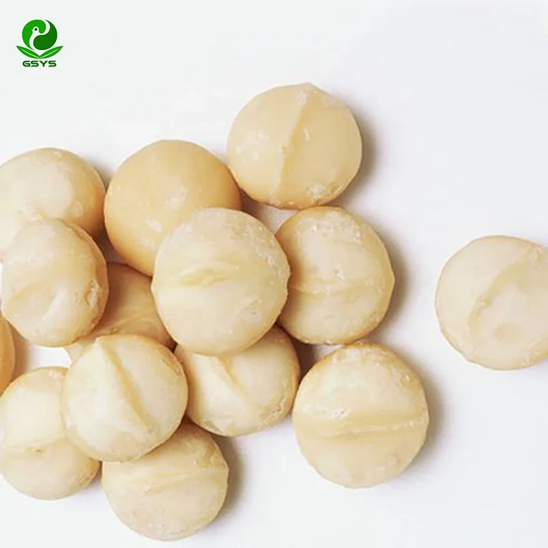 Заводская цена необработанные орехи макадамии с скорлупой