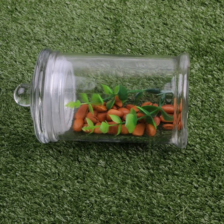 Glass Cookie Candy Penny Jar with Glass Lid Old Fashioned Clear Round Storage Container