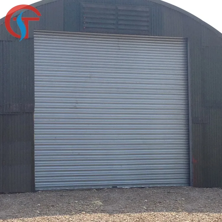 Motorized Galvanized Steel Iron Rolling Door/Iron Rolling Shutter Door