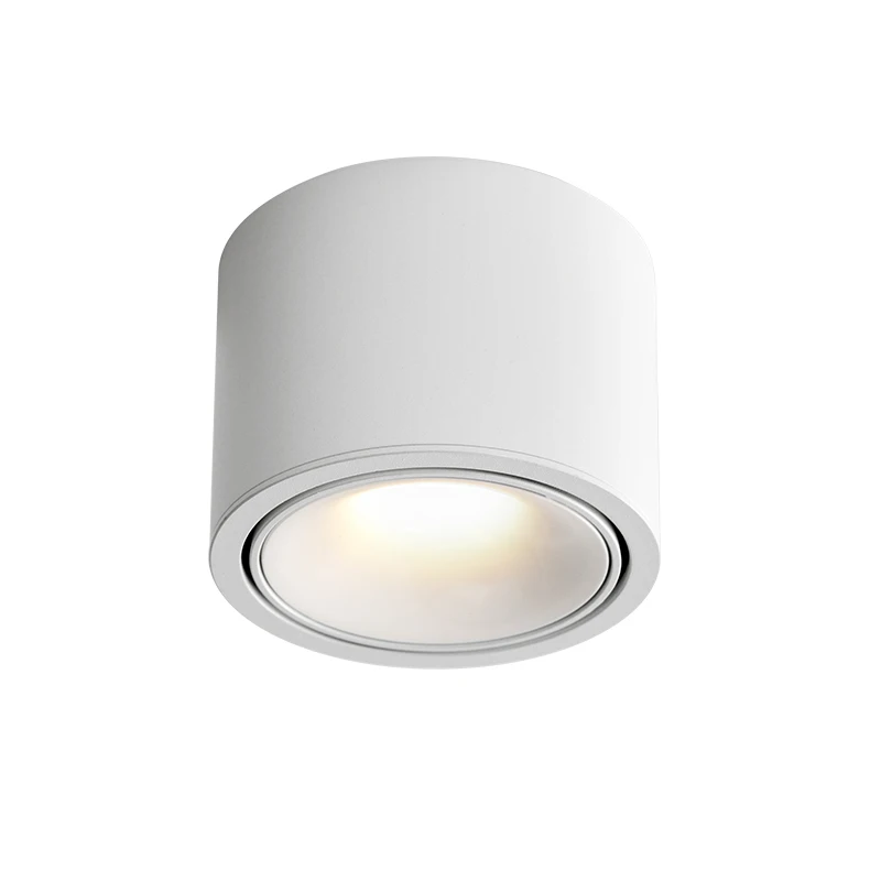 Hot sale  Surface mounted tube lamp Cylindrical  are used for hallway lighting in the living room Mini spotlight circular