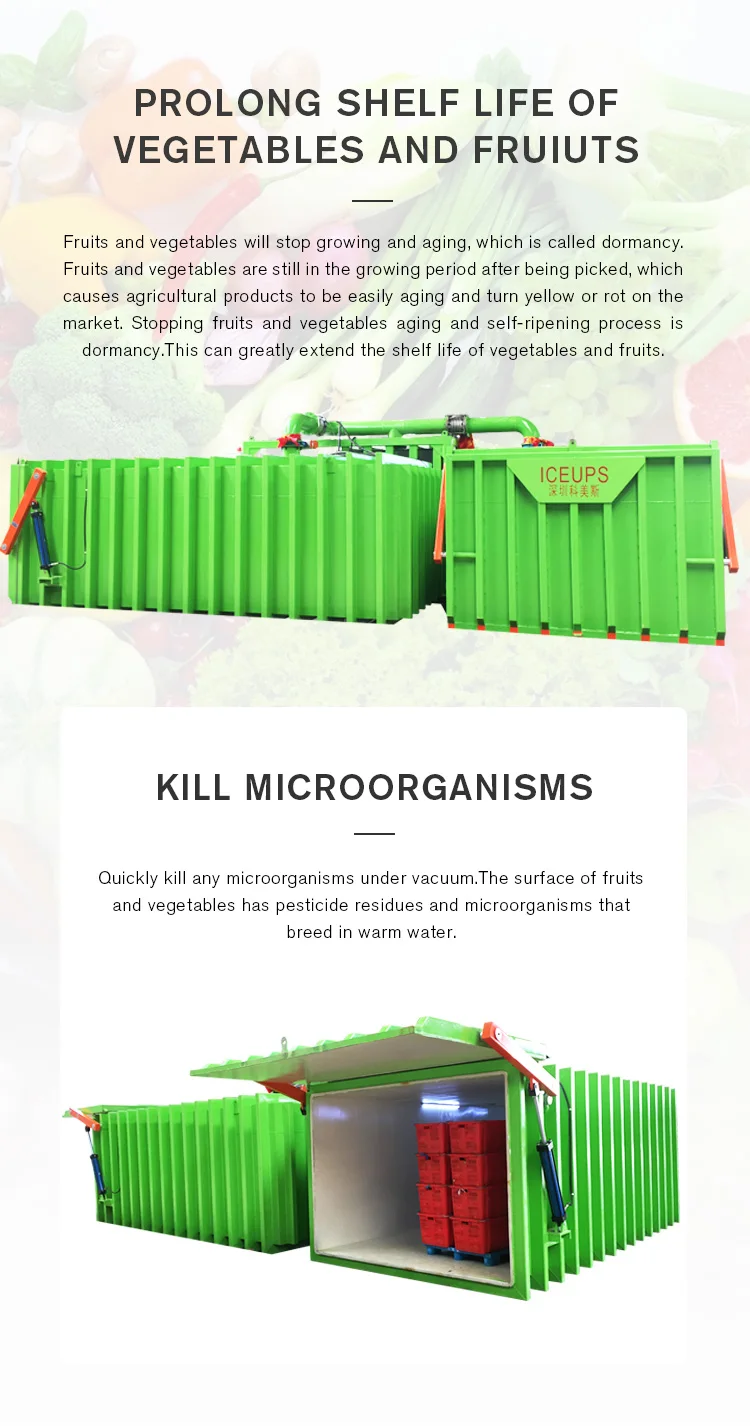 ICEUPS 6 pallet vacuum cooler  for fresh cut flowers and vegetables