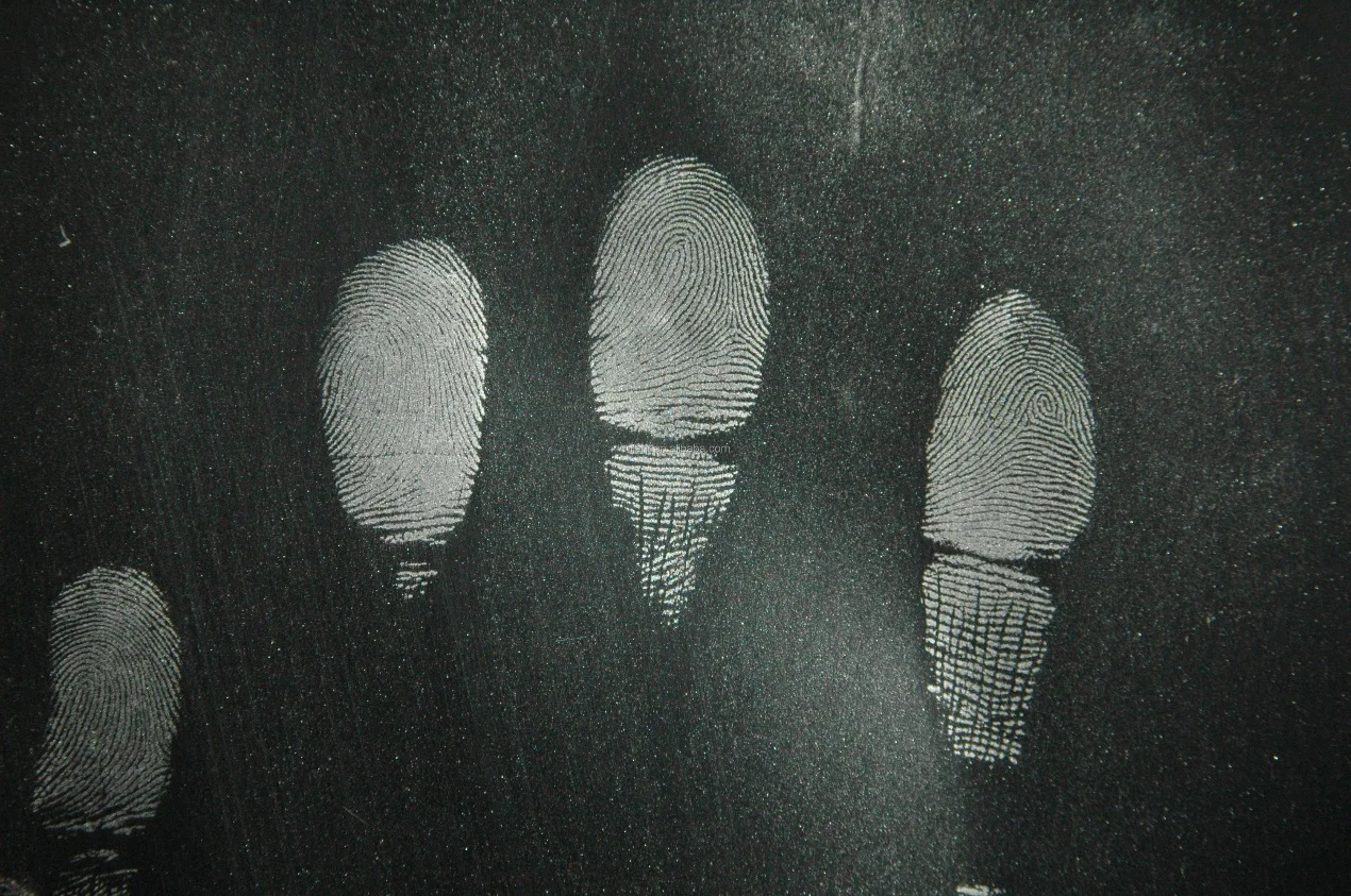 No.2053 Copper/Aluminium Spherical Fingerprint Powder