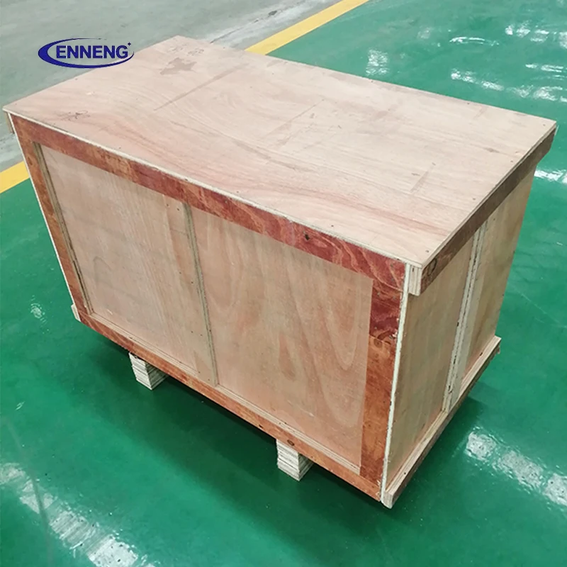 Enneng Low Rpm Free Energy 220 Volt 1kw Permanent Magnet Hydro Wind Motor Alternator Generator Without Engine