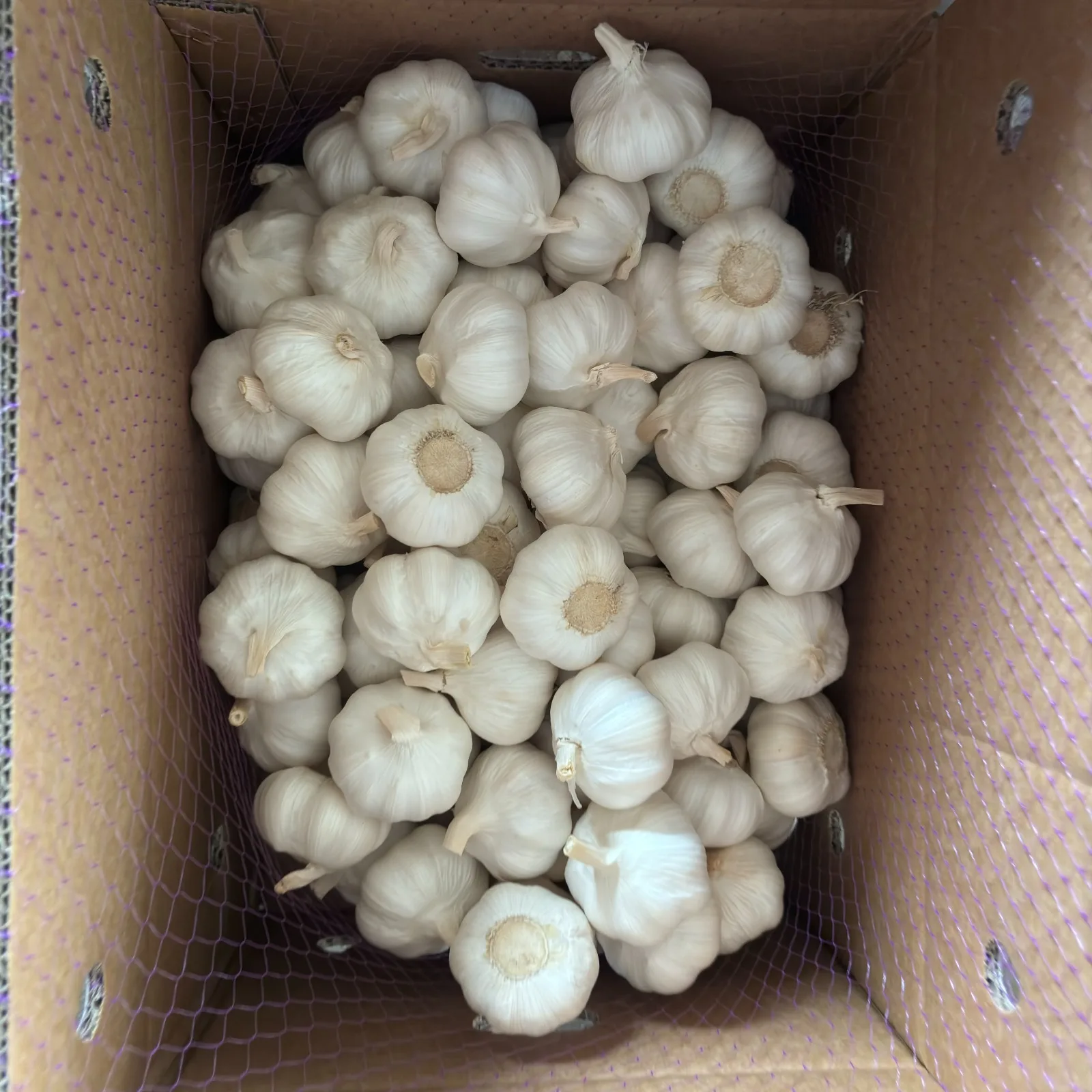 Wholesale Exclusive Import Cheap Price Sell Well New Type Guaranteed Quality Cloves Chapped Frozen Garlic Frozen food
